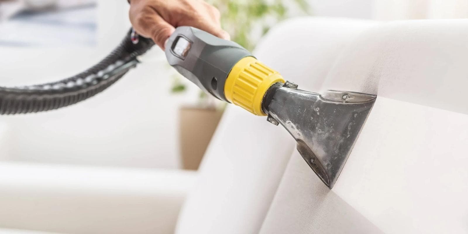 Professional upholstery extraction cleaning on a white fabric sofa in a bright lounge